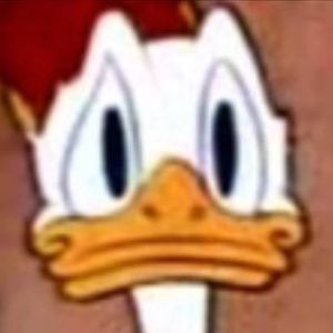 Meet your Posher, Rodney